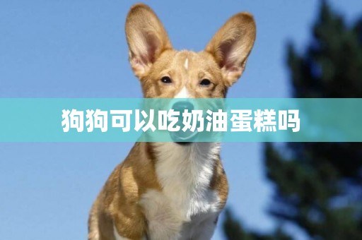 狗狗可以吃奶油蛋糕嗎