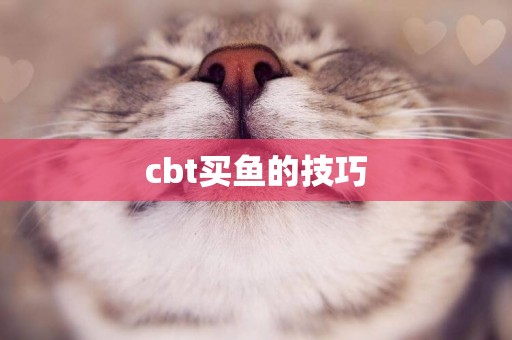 cbt買魚的技巧