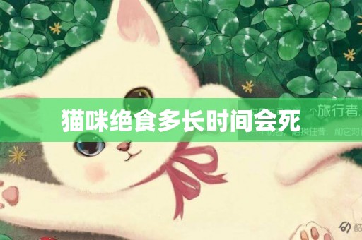 貓咪絕食多長時間會死