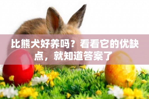比熊犬好養嗎？看看它的優缺點，就知道答案了 