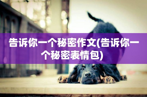 告訴你一個秘密作文(告訴你一個秘密表情包) 