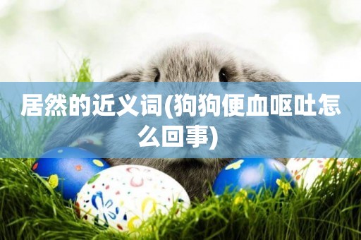 居然的近義詞(狗狗便血嘔吐怎么回事) 