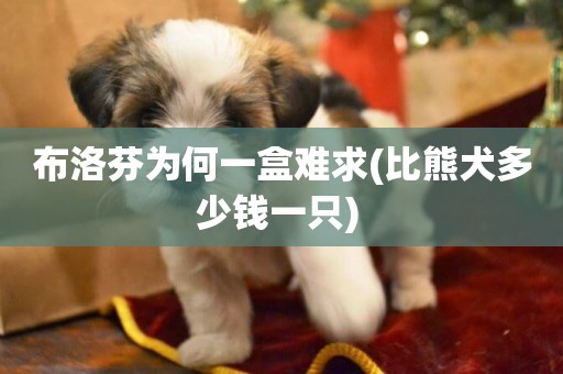 布洛芬為何一盒難求(比熊犬多少錢一只) 