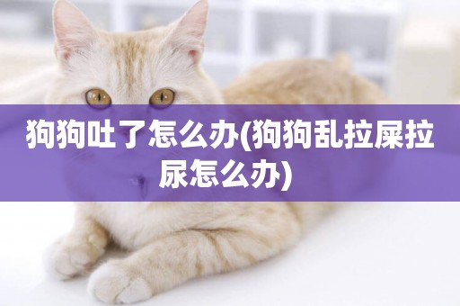 狗狗吐了怎么辦(狗狗亂拉屎拉尿怎么辦) 