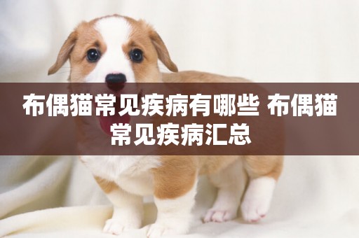 布偶貓常見疾病有哪些 布偶貓常見疾病匯總
