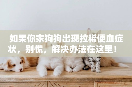 如果你家狗狗出現拉稀便血癥狀，別慌，解決辦法在這里！ 