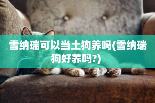 雪納瑞可以當土狗養嗎(雪納瑞狗好養嗎?) 