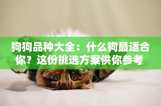 狗狗品種大全：什么狗最適合你？這份挑選方案供你參考 