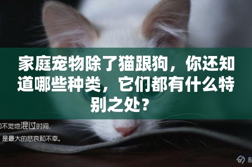 家庭寵物除了貓跟狗，你還知道哪些種類，它們都有什么特別之處？ 