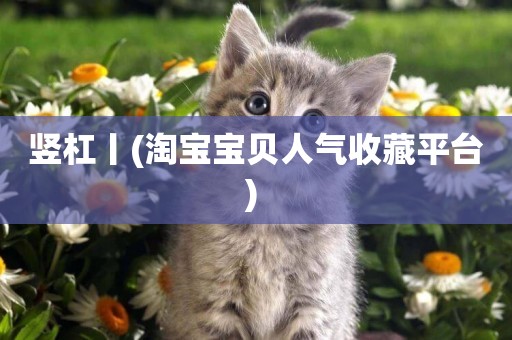 豎杠丨(淘寶寶貝人氣收藏平臺) 