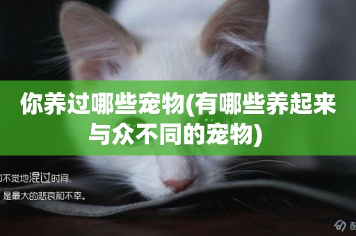 你養過哪些寵物(有哪些養起來與眾不同的寵物) 