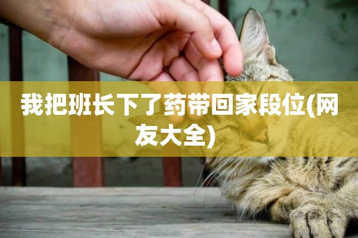 我把班長下了藥帶回家段位(網友大全) 