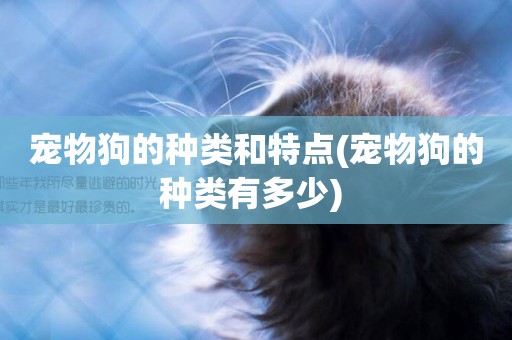 寵物狗的種類和特點(寵物狗的種類有多少) 