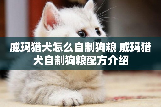 威瑪獵犬怎么自制狗糧 威瑪獵犬自制狗糧配方介紹