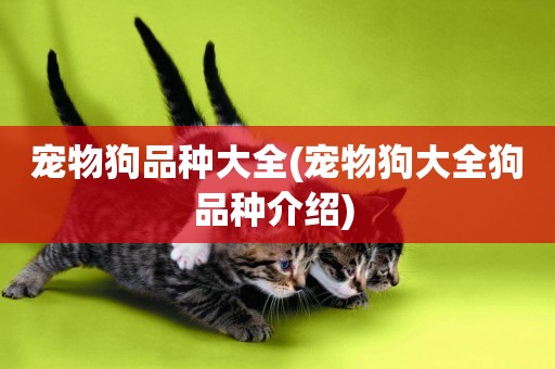 寵物狗品種大全(寵物狗大全狗品種介紹) 