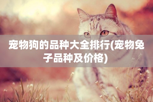 寵物狗的品種大全排行(寵物兔子品種及價格) 