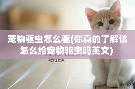 寵物驅蟲怎么驅(你真的了解該怎么給寵物驅蟲嗎英文) 