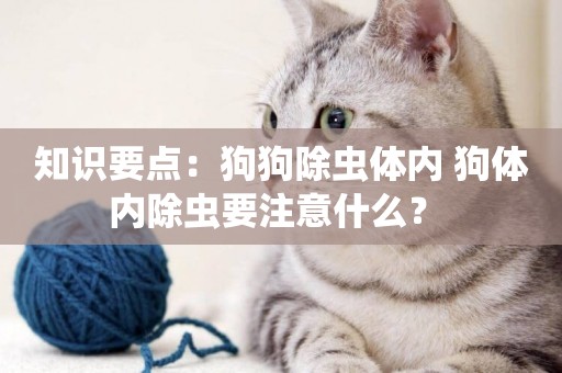 知識要點：狗狗除蟲體內 狗體內除蟲要注意什么？ 