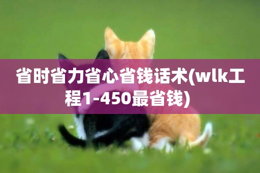 省時省力省心省錢話術(wlk工程1-450最省錢) 