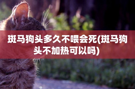 斑馬狗頭多久不喂會死(斑馬狗頭不加熱可以嗎) 