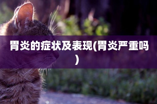胃炎的癥狀及表現(胃炎嚴重嗎) 