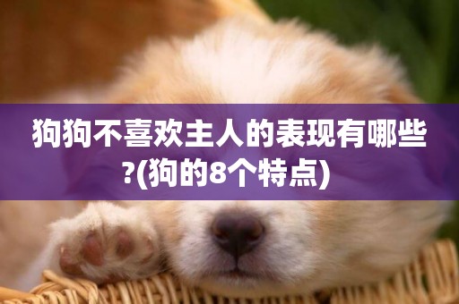 狗狗不喜歡主人的表現有哪些?(狗的8個特點) 