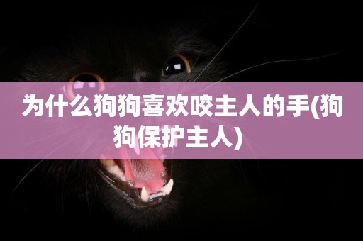 為什么狗狗喜歡咬主人的手(狗狗保護主人) 