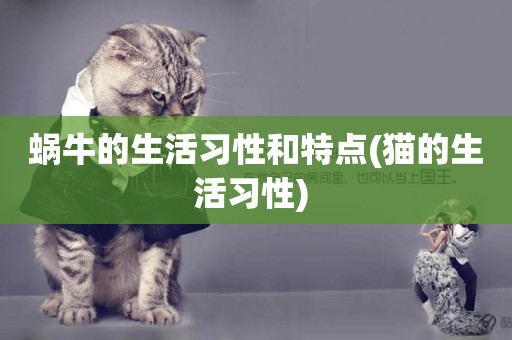 蝸牛的生活習性和特點(貓的生活習性) 
