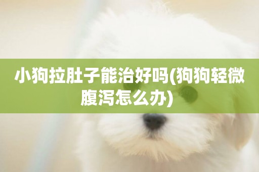 小狗拉肚子能治好嗎(狗狗輕微腹瀉怎么辦) 