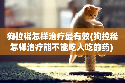狗拉稀怎樣治療最有效(狗拉稀怎樣治療能不能吃人吃的藥) 