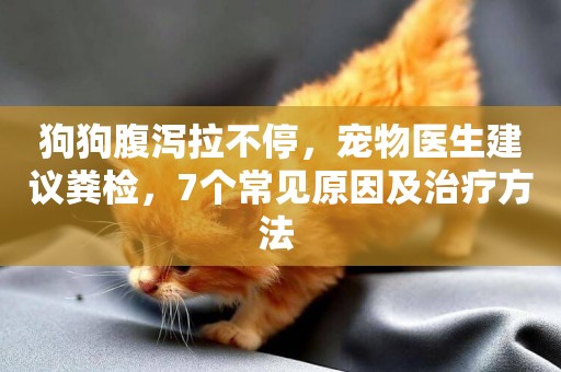 狗狗腹瀉拉不停，寵物醫生建議糞檢，7個常見原因及治療方法 