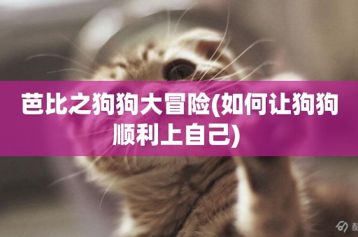 芭比之狗狗大冒險(如何讓狗狗順利上自己) 