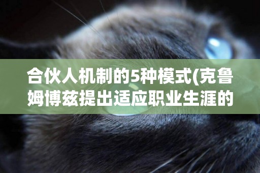 合伙人機制的5種模式(克魯姆博茲提出適應職業生涯的5種態度不包括) 