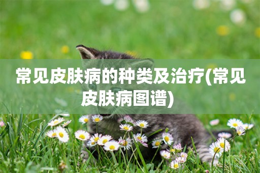 常見皮膚病的種類及治療(常見皮膚病圖譜) 