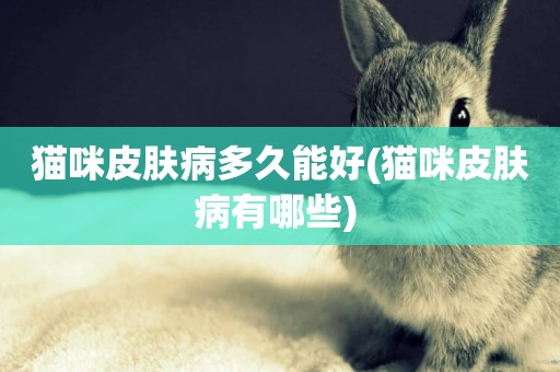 貓咪皮膚病多久能好(貓咪皮膚病有哪些) 