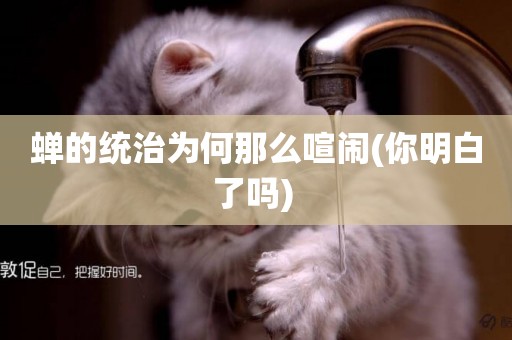 蟬的統治為何那么喧鬧(你明白了嗎) 