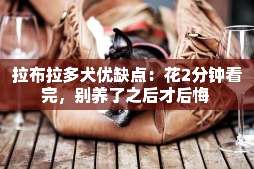 拉布拉多犬優缺點：花2分鐘看完，別養了之后才后悔 