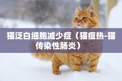 貓泛白細胞減少癥（貓瘟熱-貓傳染性腸炎） 