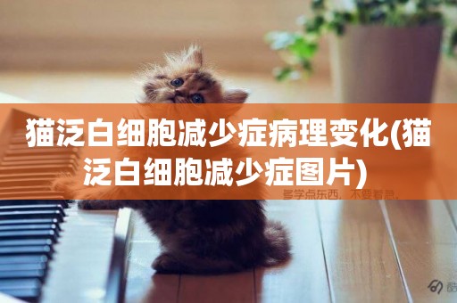 貓泛白細胞減少癥病理變化(貓泛白細胞減少癥圖片) 