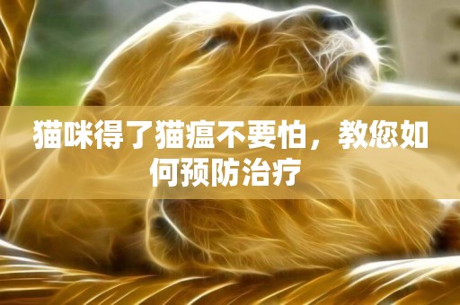 貓咪得了貓瘟不要怕，教您如何預防治療 