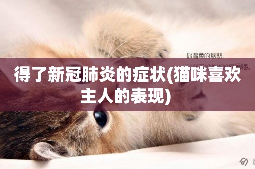 得了新冠肺炎的癥狀(貓咪喜歡主人的表現) 
