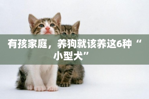 有孩家庭，養狗就該養這6種“小型犬” 