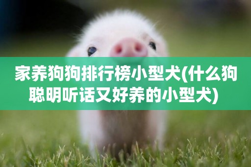 家養狗狗排行榜小型犬(什么狗聰明聽話又好養的小型犬) 