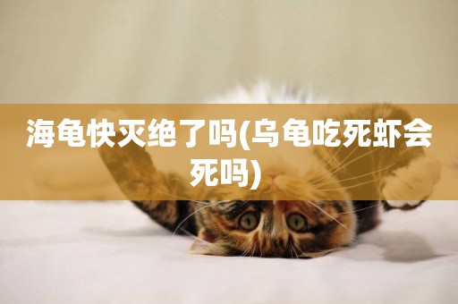 海龜快滅絕了嗎(烏龜吃死蝦會死嗎) 