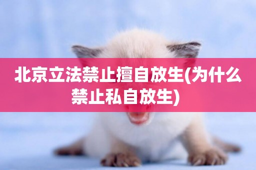 北京立法禁止擅自放生(為什么禁止私自放生) 