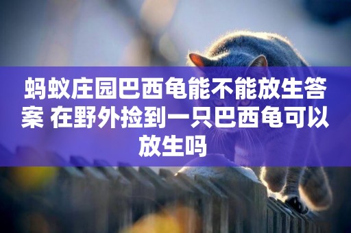 螞蟻莊園巴西龜能不能放生答案 在野外撿到一只巴西龜可以放生嗎 
