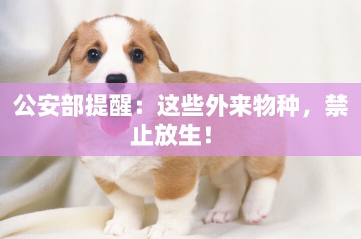 公安部提醒：這些外來物種，禁止放生！ 