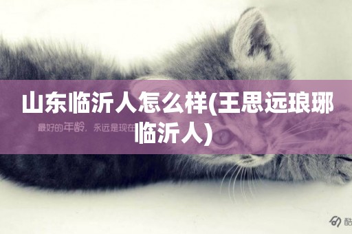 山東臨沂人怎么樣(王思遠瑯琊臨沂人) 