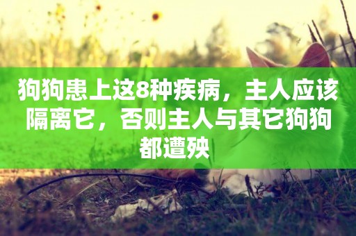 狗狗患上這8種疾病，主人應該隔離它，否則主人與其它狗狗都遭殃 