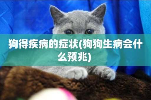 狗得疾病的癥狀(狗狗生病會什么預兆) 